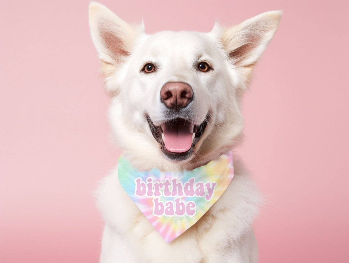 Birthday Babe Tie Dye Dog Birthday Bandana Dog Birthday Party Scarf - Squishy Cheeks