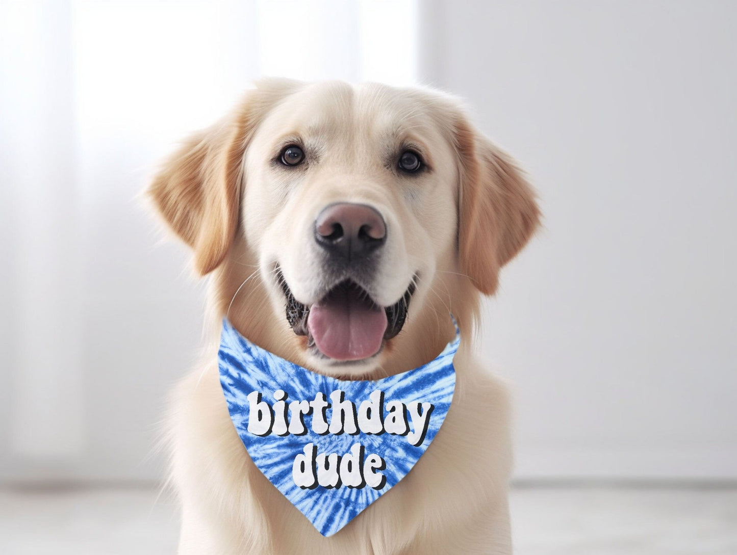 Birthday Dude Blue Tie Dye Dog Birthday Bandana Dog Birthday Party Scarf - Squishy Cheeks