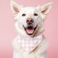 Blue Plaid Custom Boy Dog Bandana With Name Personalized Gingham Dog Scarf - Squishy Cheeks