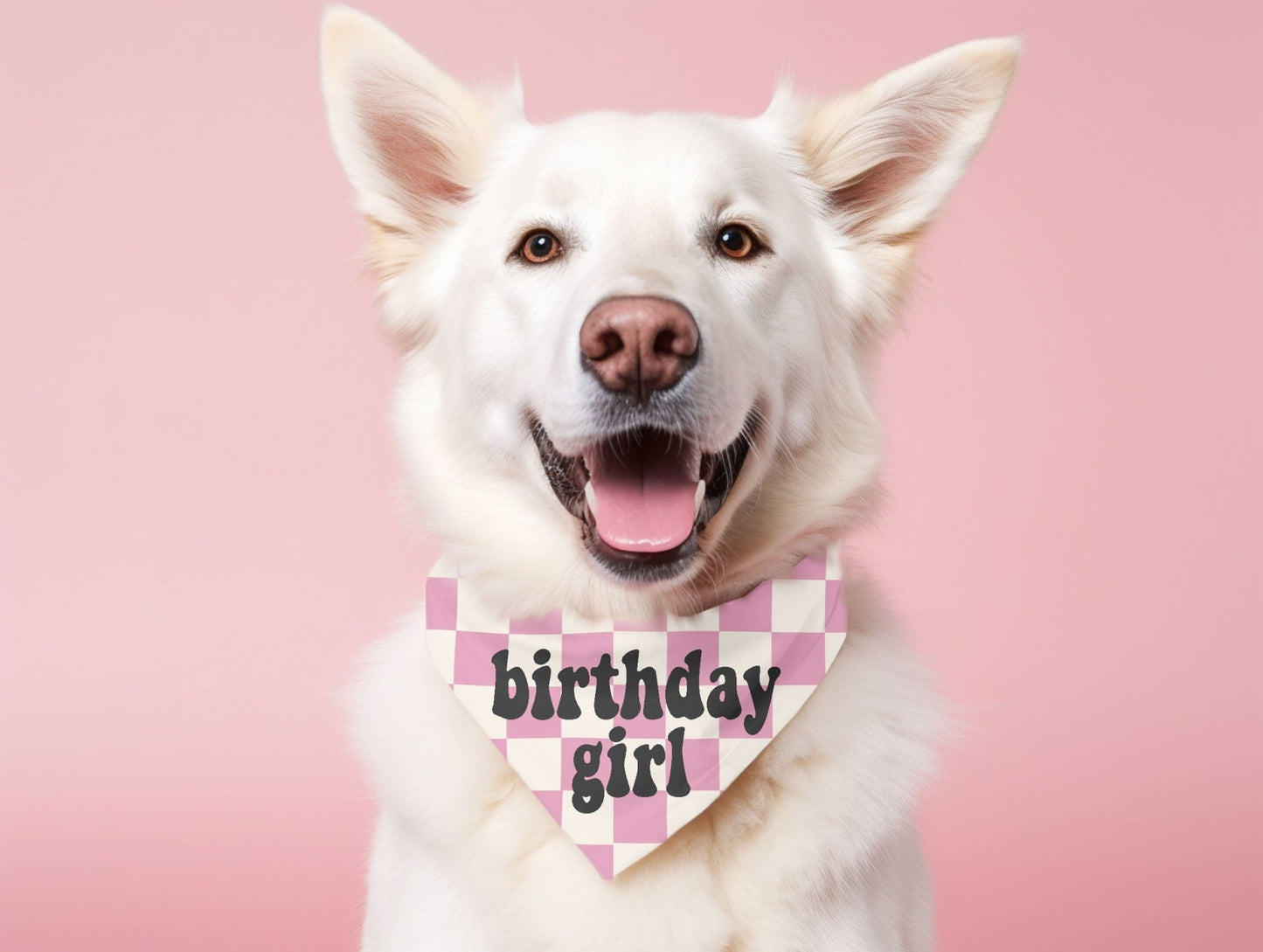 Checkered Birthday Dog Bandana Pet Birthday Party Bandana Dog Scarf - Squishy Cheeks
