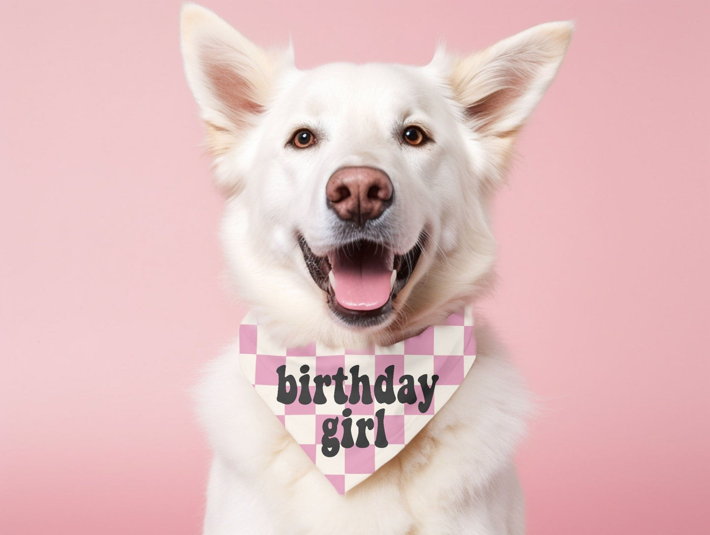 Checkered Birthday Girl Dog Bandana Pet Birthday Party Bandana Dog Scarf - Squishy Cheeks