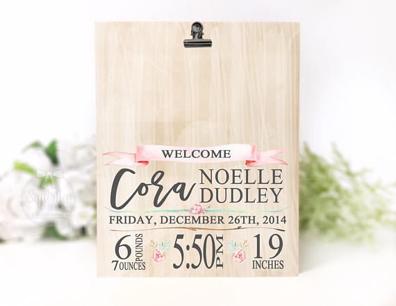 Baby Girl Birth Stat Photo Plaque - Squishy Cheeks