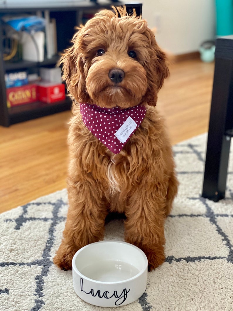 Custom Pet Food Bowl Ceramic 6" or 7" White - Squishy Cheeks