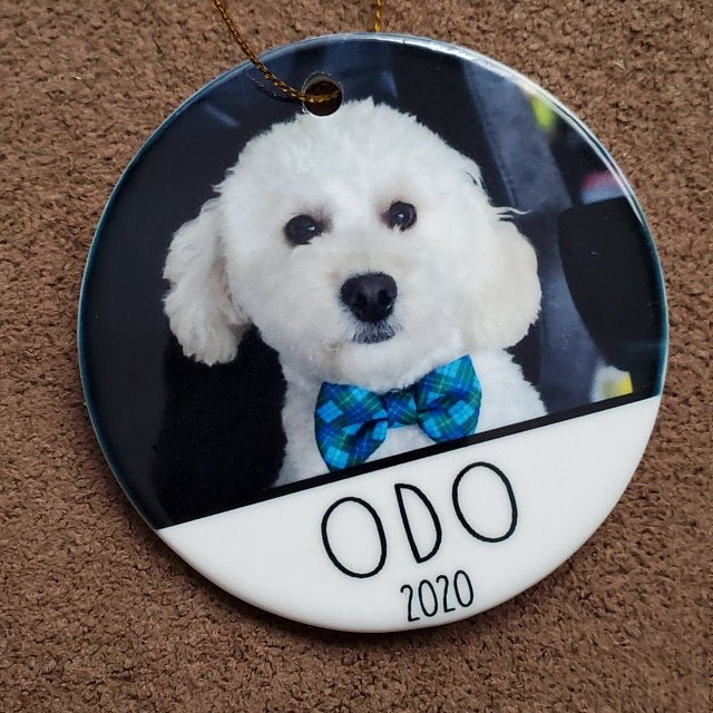Custom Pet Photo Christmas Ornament - Squishy Cheeks