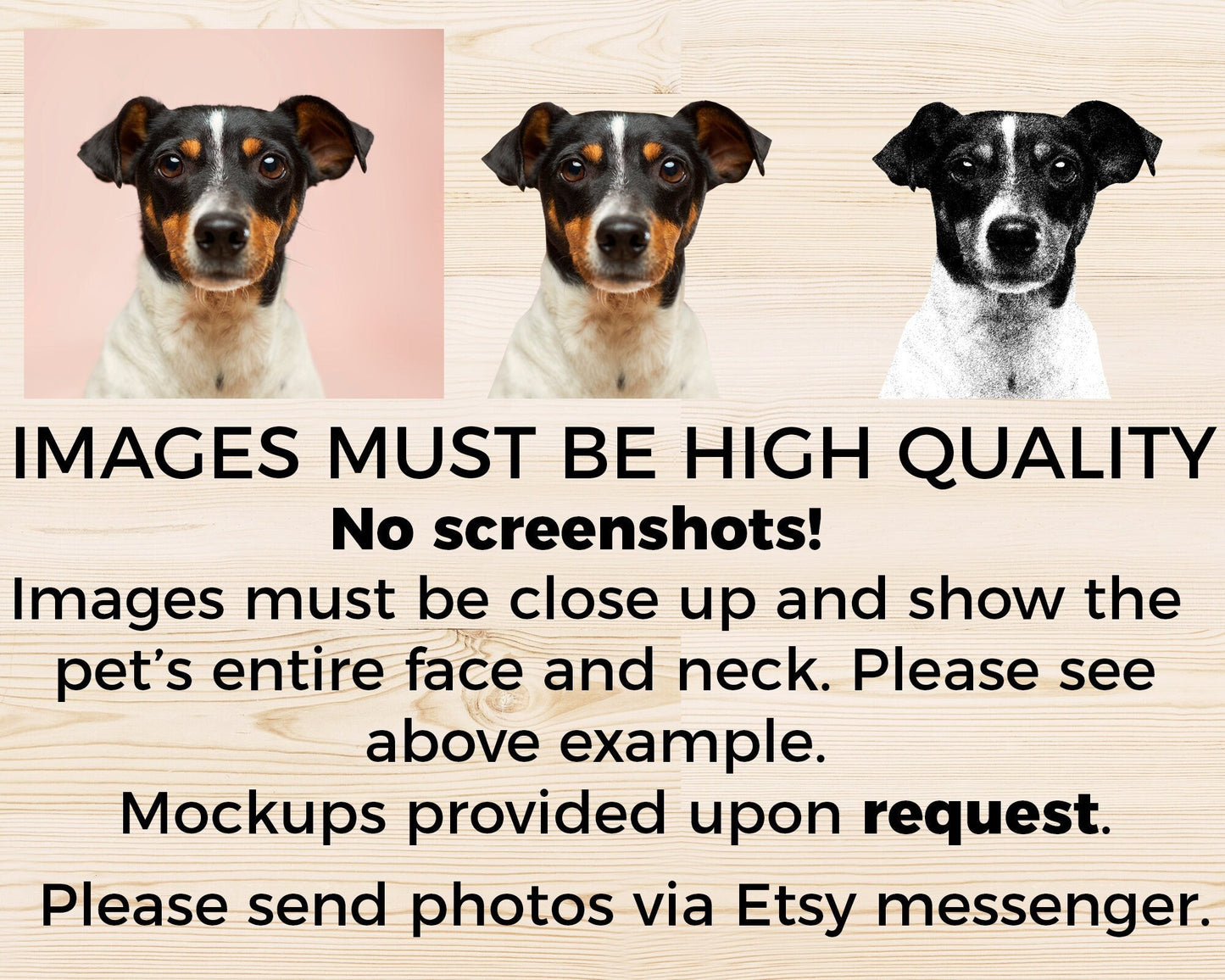 Custom Photo Pet Mat With Name Personalized Photo Non Slip Pet Mat for Dogs or Cats - Squishy Cheeks