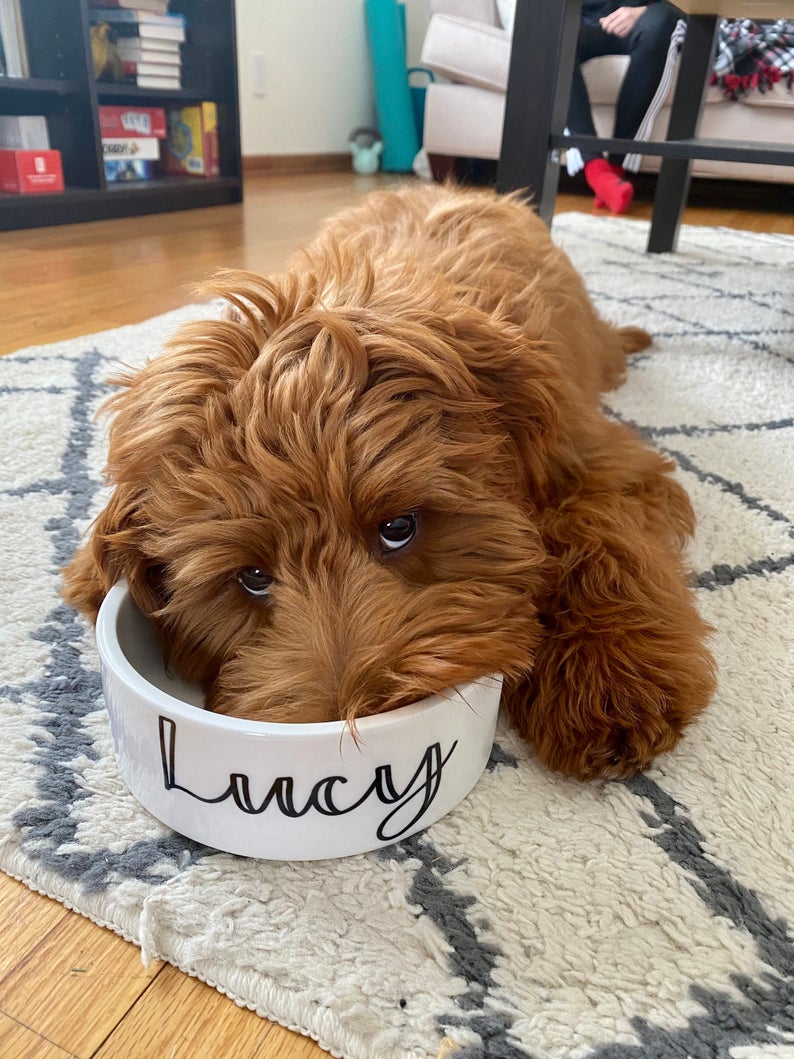Design Your Own Pet Food Bowl Ceramic 6" or 7" White - Squishy Cheeks