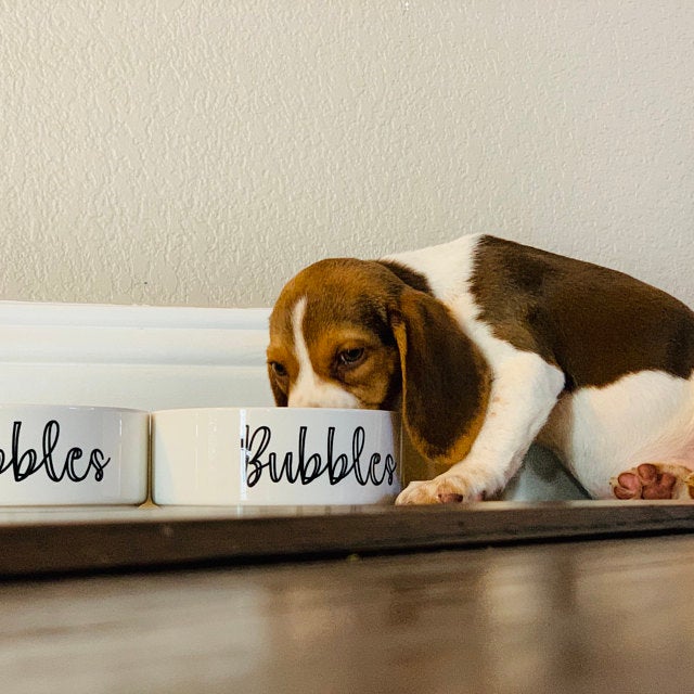 Design Your Own Pet Food Bowl Ceramic 6" or 7" White - Squishy Cheeks