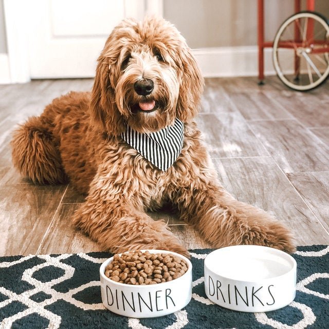 Dinner & Drinks White Ceramic Pet Food Bowl Set - Squishy Cheeks