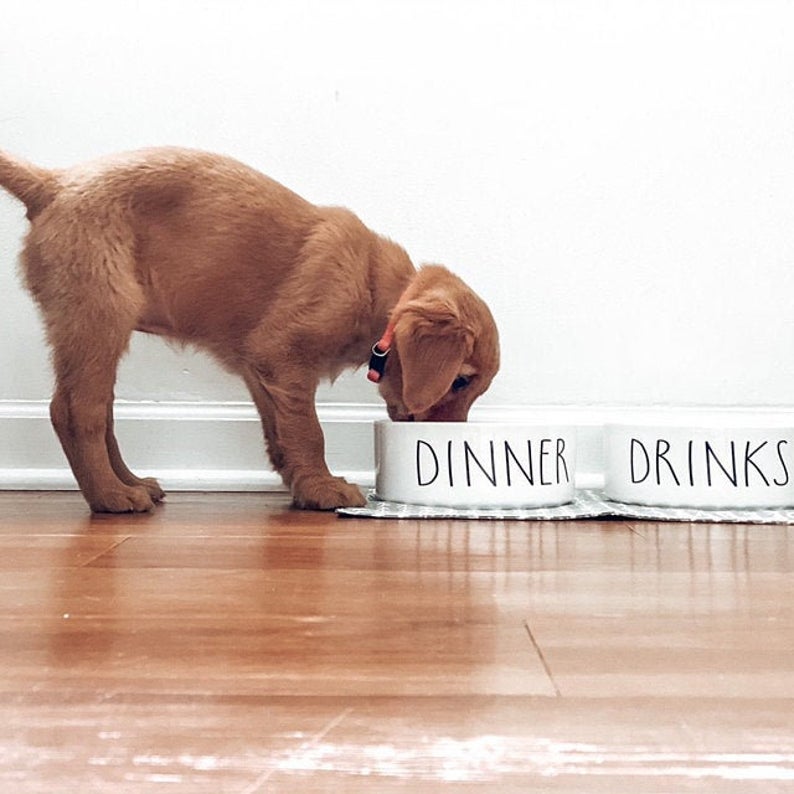 Dinner & Drinks White Ceramic Pet Food Bowl Set - Squishy Cheeks