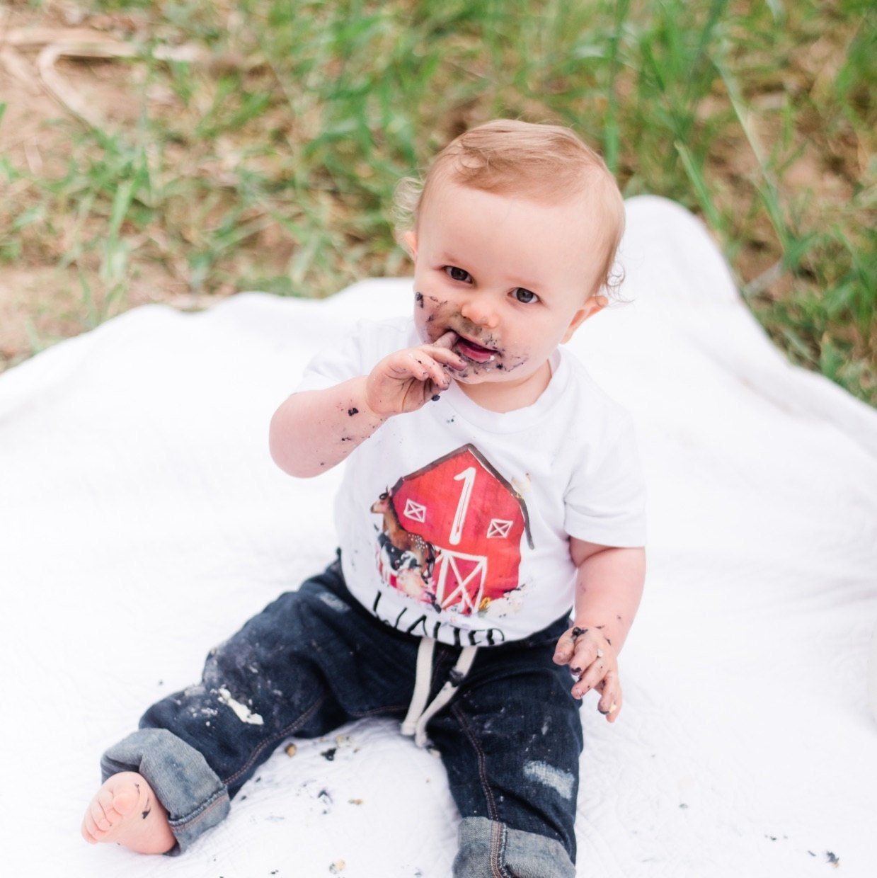 Farm Animal Birthday Top Bodysuit or Shirt Top Only Barnyard Birthday - Squishy Cheeks