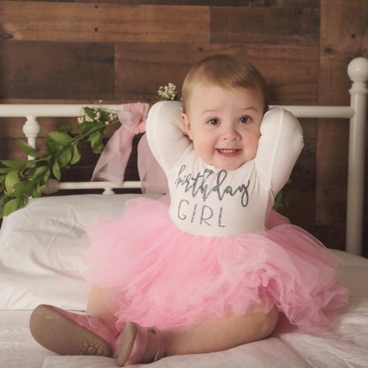 Girls Birthday Dress Pink and Silver Birthday Outfit Long Sleeve Birthday Dress 1st 2nd 3rd 4th 5th Birthday Fluffy Dress - Squishy Cheeks