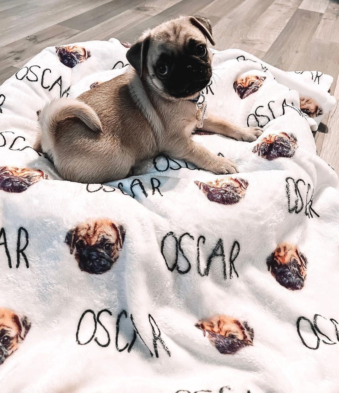 Havanese Dog Blanket Havanese Day Funny Gift Custom Photo Dog Blanket Personalized Dog Blanket New Puppy Gift Dog Face - Squishy Cheeks