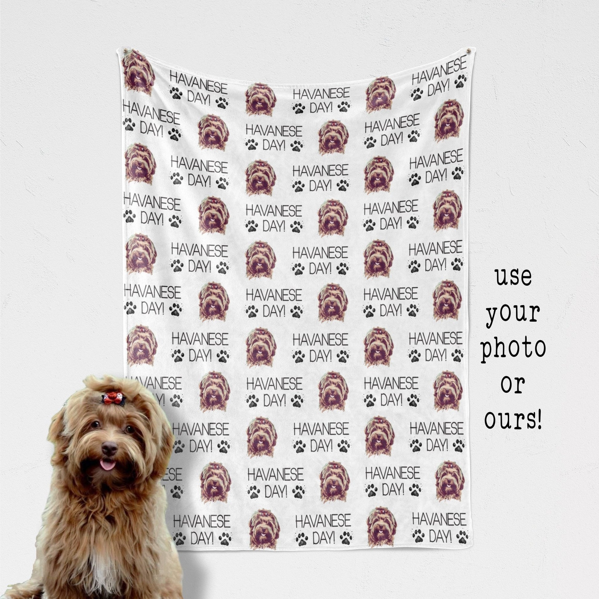 Havanese Dog Blanket Havanese Day Funny Gift Custom Photo Dog Blanket Personalized Dog Blanket New Puppy Gift Dog Face - Squishy Cheeks