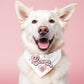 Lover Funny Valentine's Day Dog Bandana Valentines Holiday Dog Bandana - Squishy Cheeks