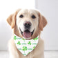 Lucky St. Patrick's Day Dog Bandana St. Patty's Holiday Dog Bandana - Squishy Cheeks