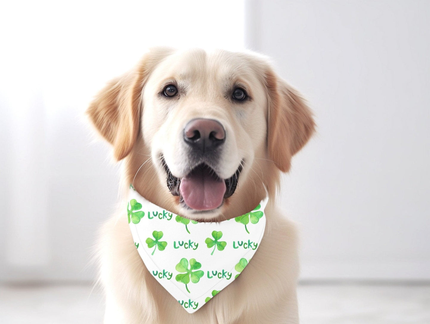 Lucky St. Patrick's Day Dog Bandana St. Patty's Holiday Dog Bandana - Squishy Cheeks