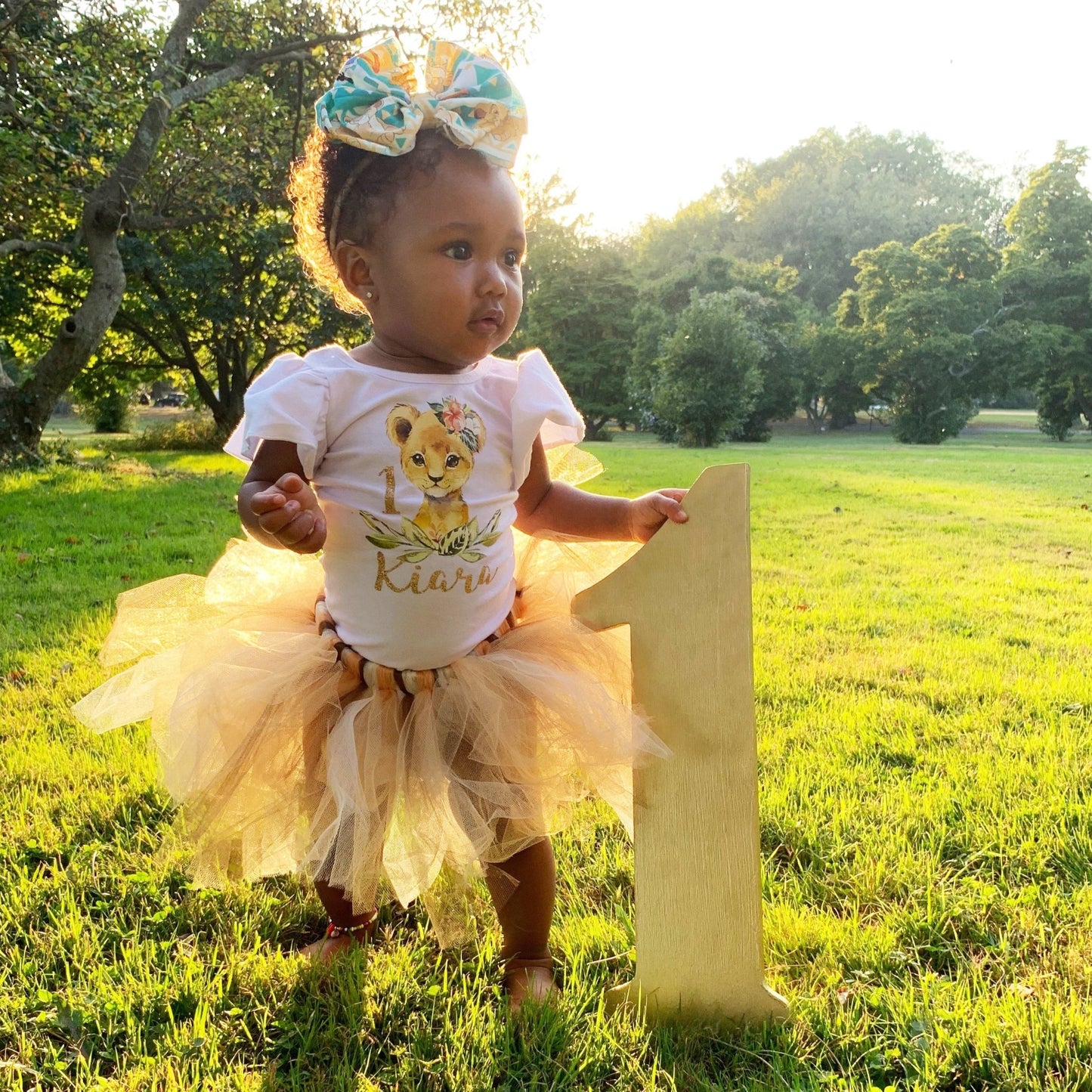 Personalized Lion Birthday Outfit - Squishy Cheeks