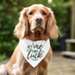 Pet Me For Luck Funny St. Patrick's Day Dog Bandana Scarf - Squishy Cheeks