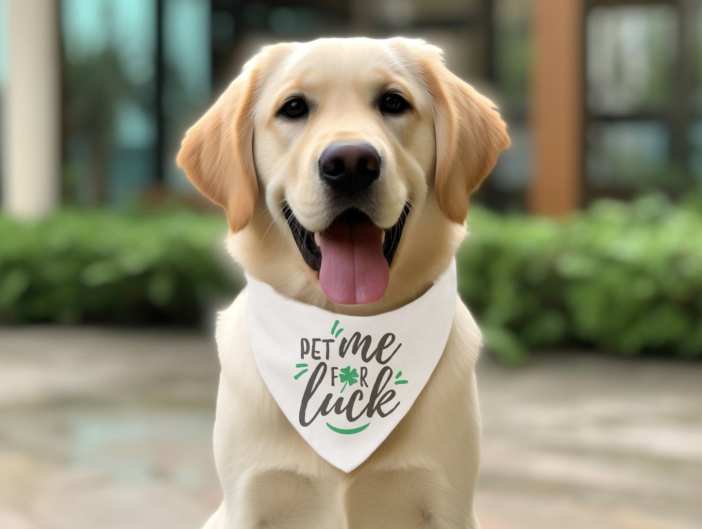 Pet Me For Luck Funny St. Patrick's Day Dog Bandana Scarf - Squishy Cheeks