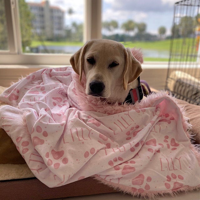 Pink Personalized Dog Paw Print Pet Blanket - Squishy Cheeks