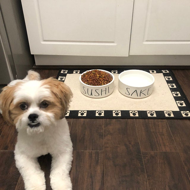 Sushi and Sake Funny White Ceramic Pet Food Bowls Set - Squishy Cheeks