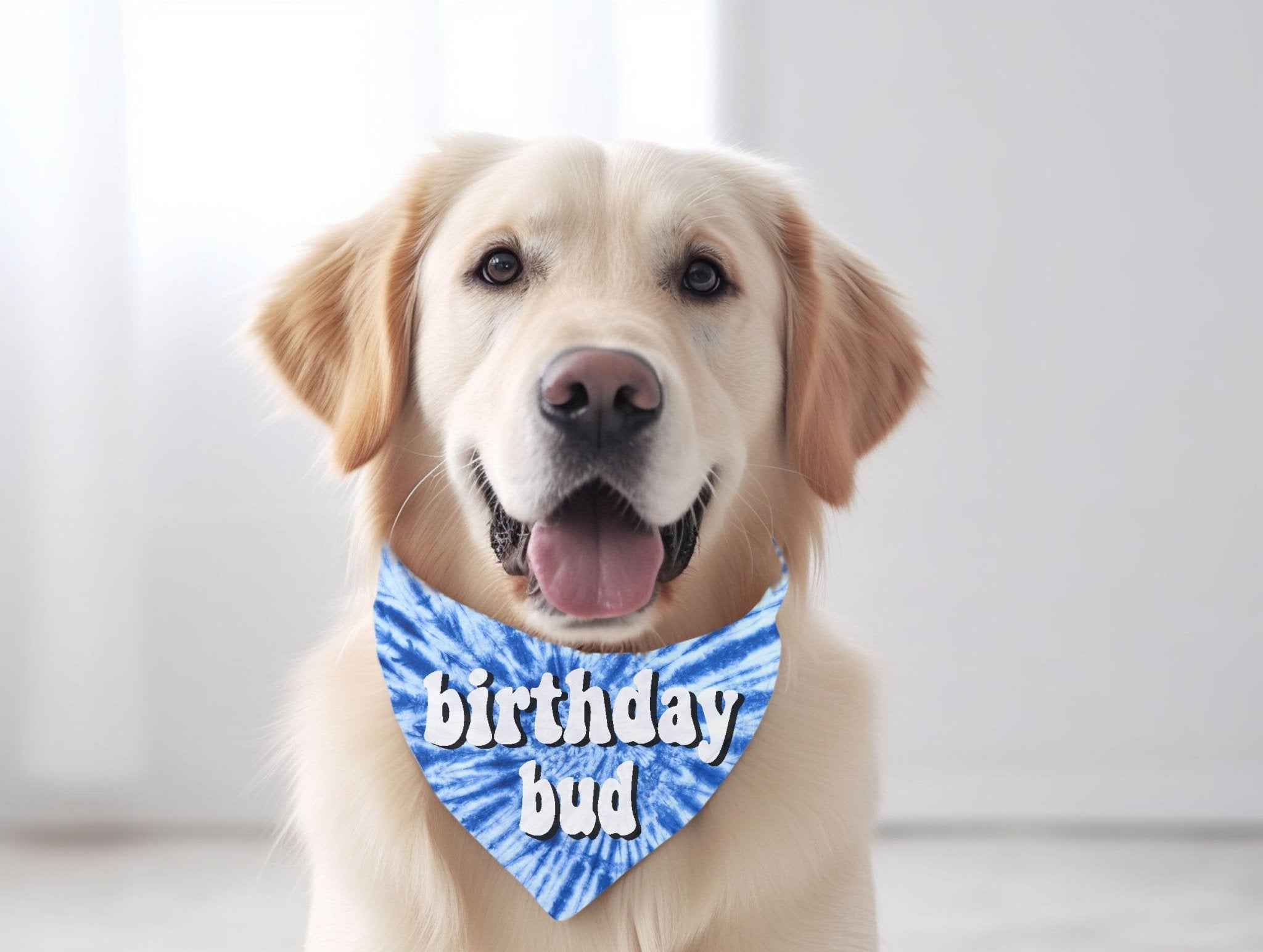 Dog birthday scarf best sale