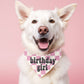Checkered Birthday Dog Bandana Pet Birthday Party Bandana Dog Scarf - Squishy Cheeks