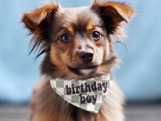 Checkered Birthday Dog Bandana Pet Birthday Party Bandana Dog Scarf - Squishy Cheeks