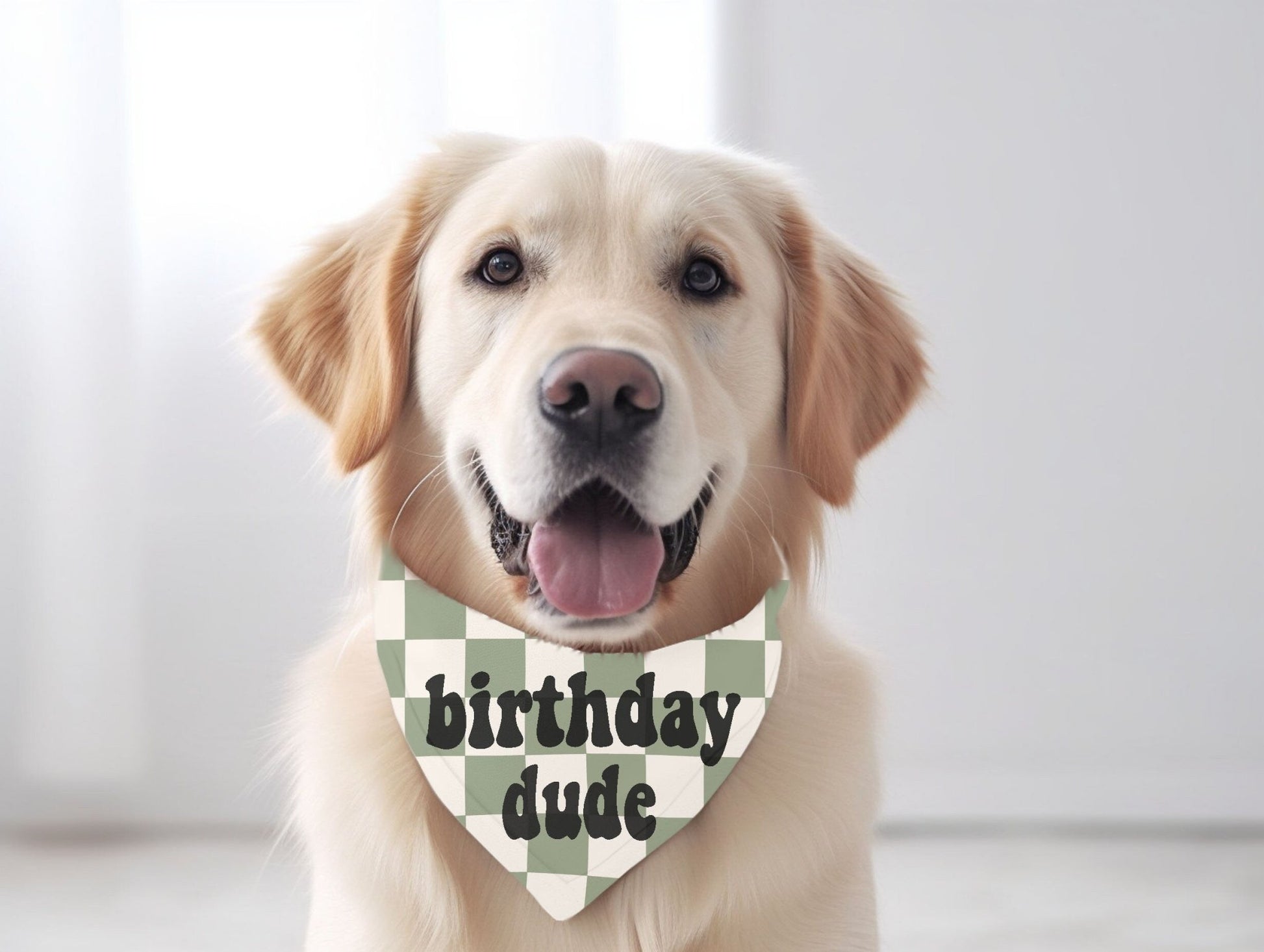 Checkered Birthday Girl Dog Bandana Pet Birthday Party Bandana Dog