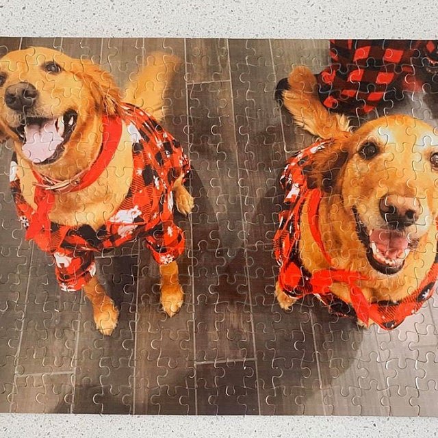 Custom Pet Photo Puzzle, WITH YOUR OWN PHOTO - Squishy Cheeks