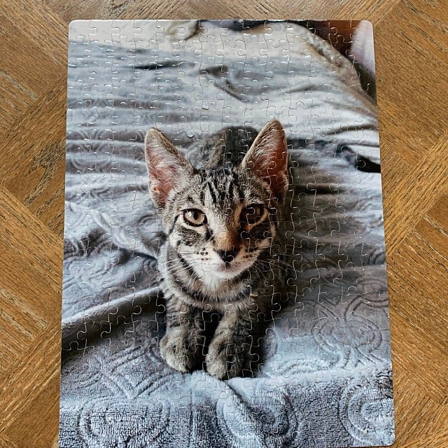 Custom Pet Photo Puzzle, WITH YOUR OWN PHOTO - Squishy Cheeks