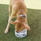 Design Your Own Pet Food Bowl Ceramic 6" or 7" White - Squishy Cheeks