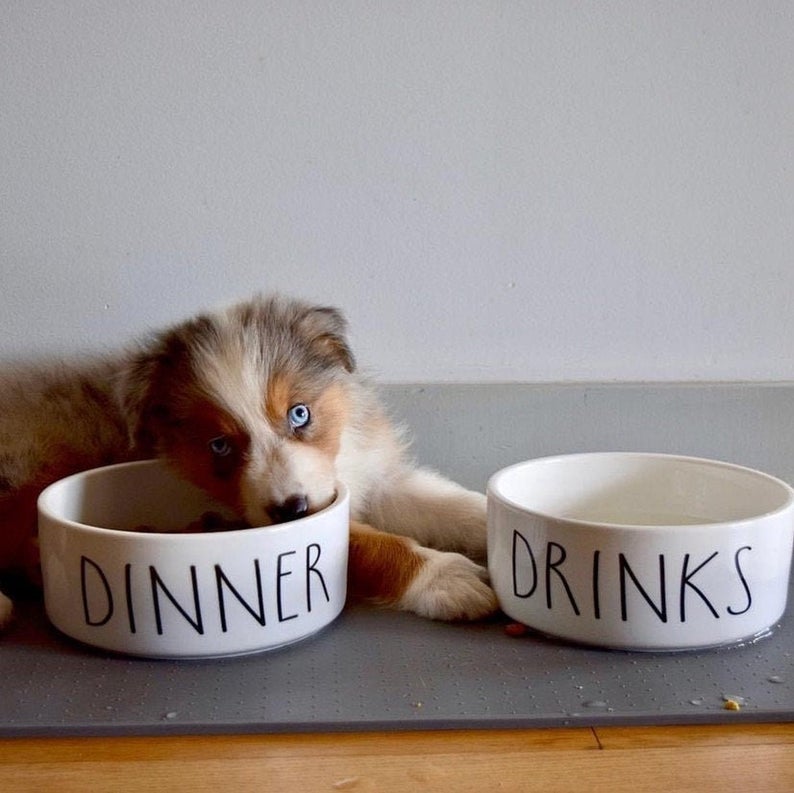 Dinner & Drinks White Ceramic Pet Food Bowl Set - Squishy Cheeks