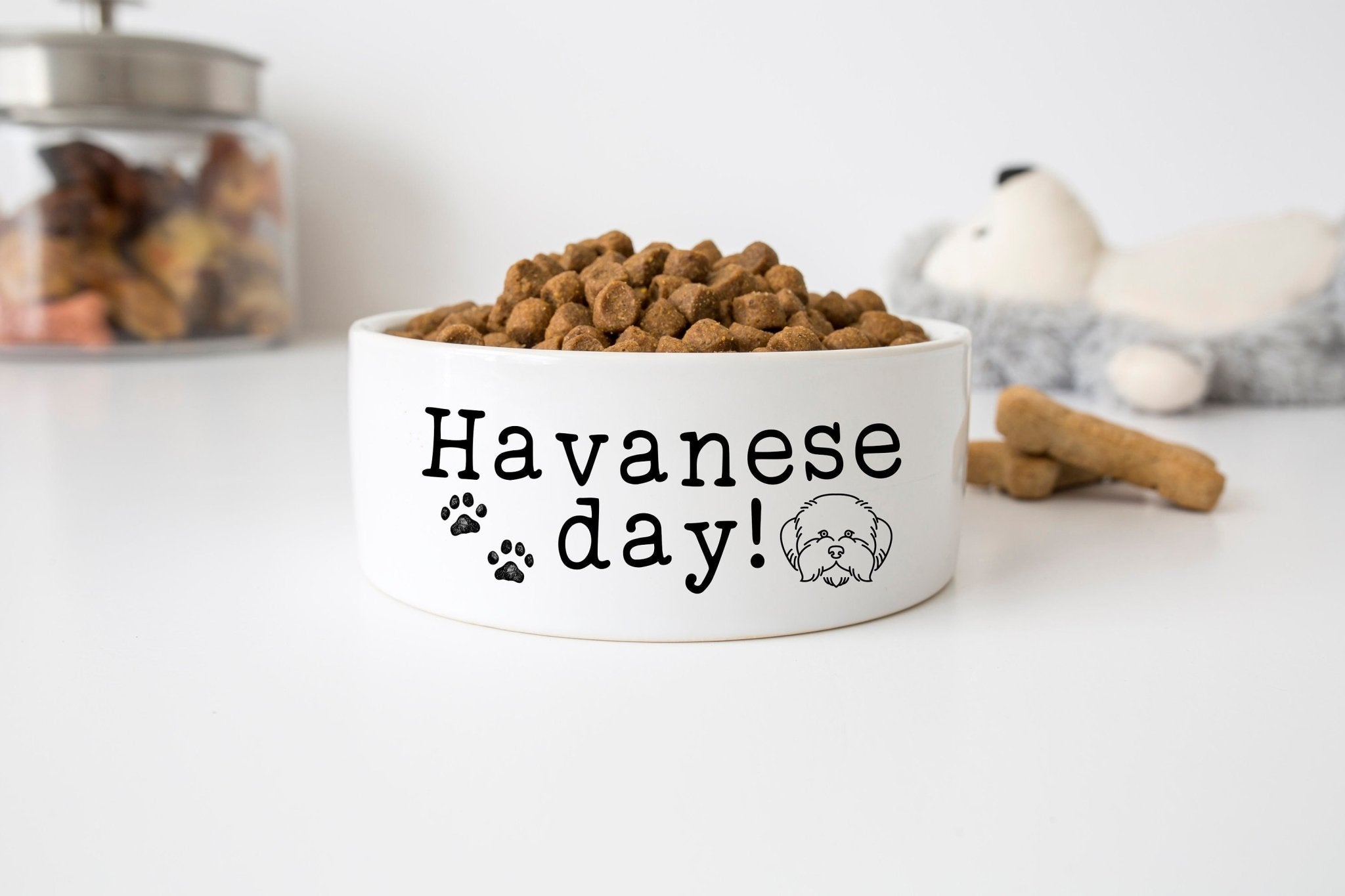 Havanese Day Funny Dog Bowl