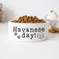 Havanese Dog Bowl Havanese Day Funny Dog Bowl Havanese Puppy Ceramic Dog Bowl 6" or 7" - Squishy Cheeks