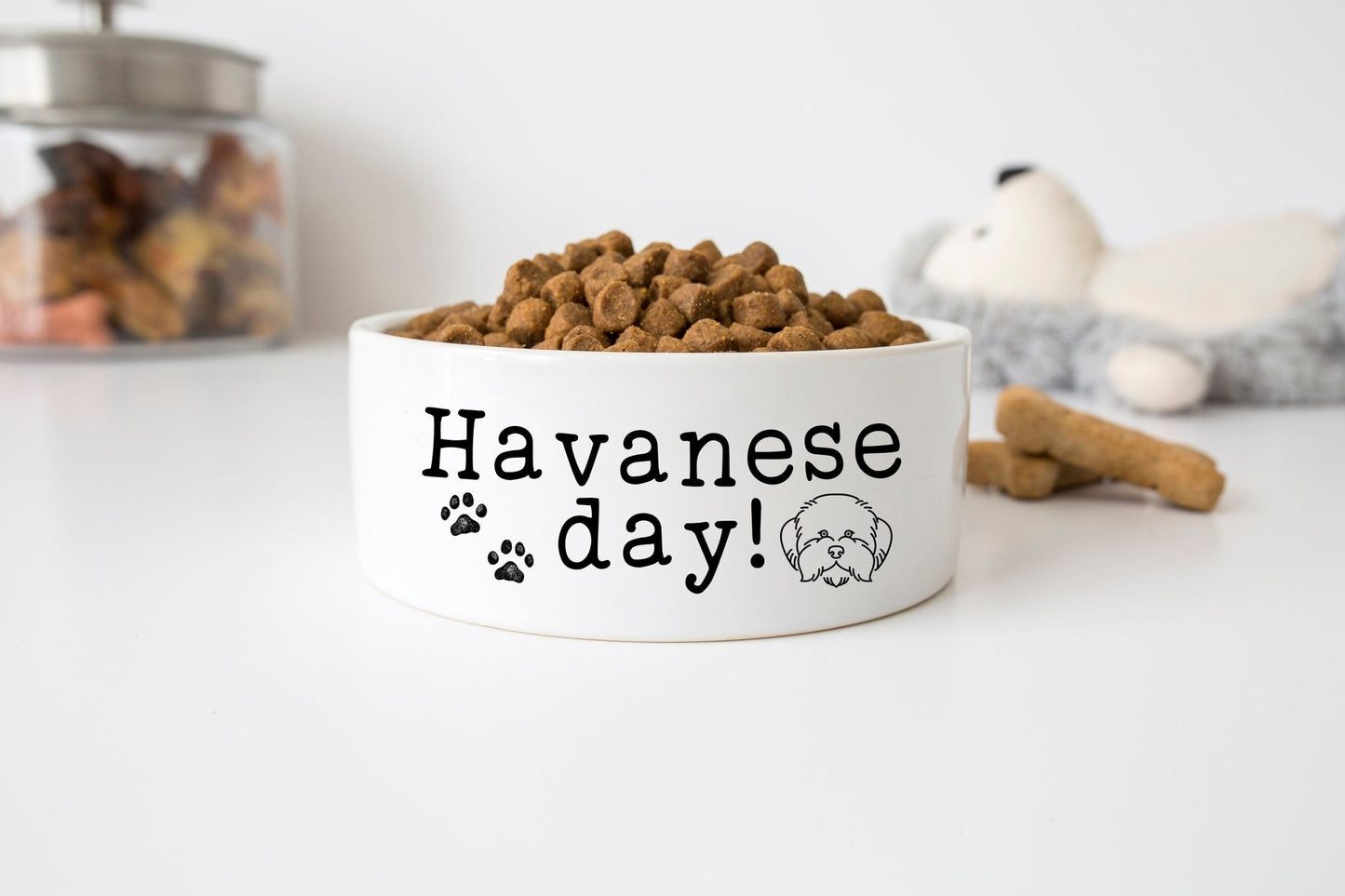 Havanese Dog Bowl Havanese Day Funny Dog Bowl Havanese Puppy Ceramic Dog Bowl 6" or 7" - Squishy Cheeks
