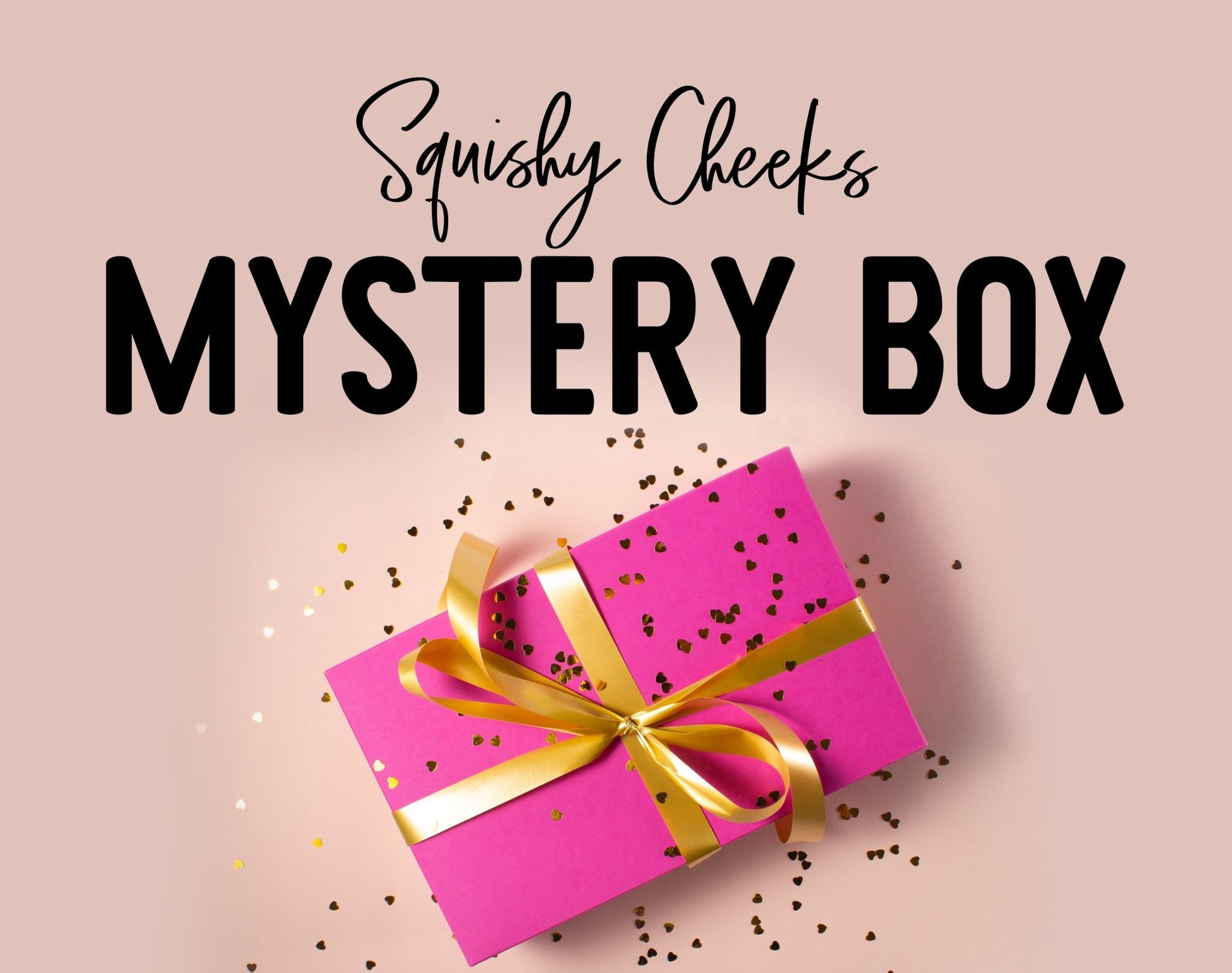 MYSTERY Girl's Clothes & Accessory Box - Squishy Cheeks