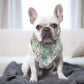 Personalized Christmas Dog Bandana Holiday Dog Accessory - Squishy Cheeks