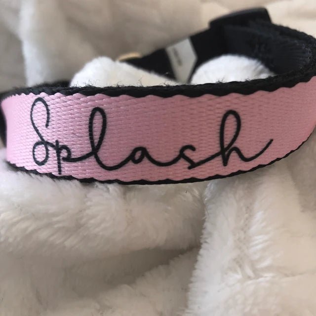 Personalized Dog Collar And Custom Tag - Squishy Cheeks