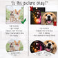 Pet Loss Ornament Loss of a Dog Sympathy Gift Loss of Cat Condolence Gift Ornament Personalized Pet Loss Gift Dog Memorial Pet Passing Gift - Squishy Cheeks