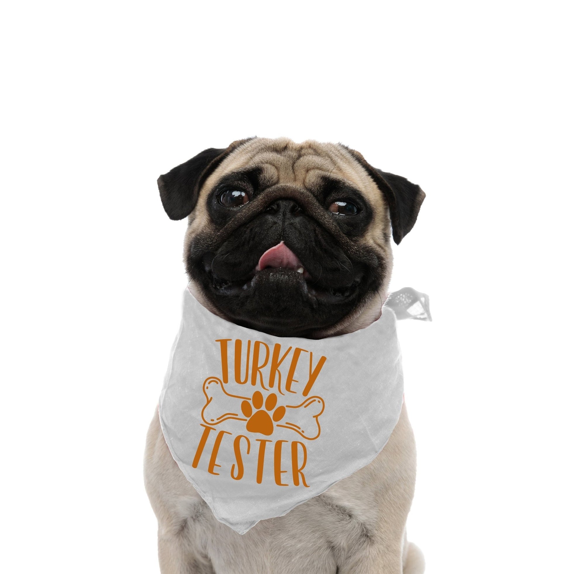 Thanksgiving Dog Bandana Fall Dog Accessory Turkey Tester Funny Dog Gift New Puppy Gift Dog Scarf - Squishy Cheeks